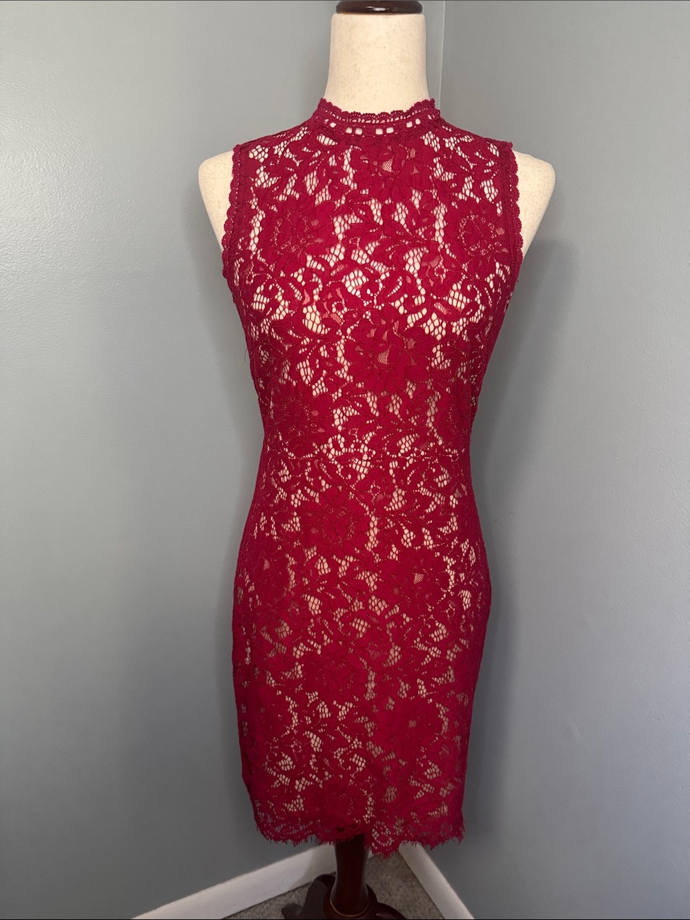She + Sky Red Lace Lined Bodycon Dress Sz S